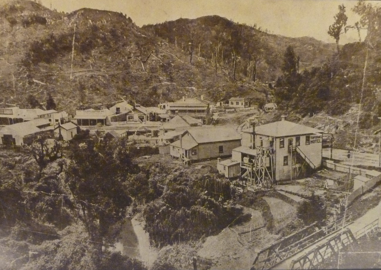 Whangamomona 1905